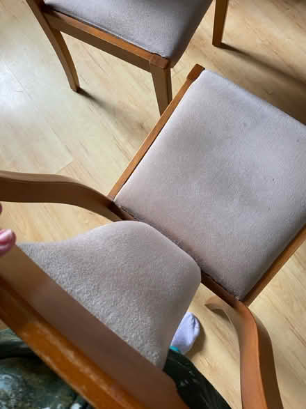Photo of free X2 wooden dining chairs (Levenshulme M19) #4
