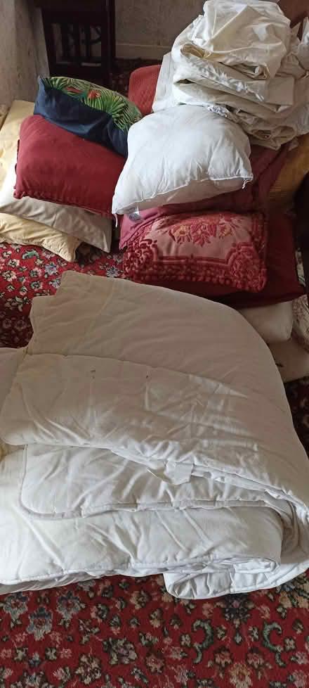 Photo of free Closet Clear out (Keston) #1