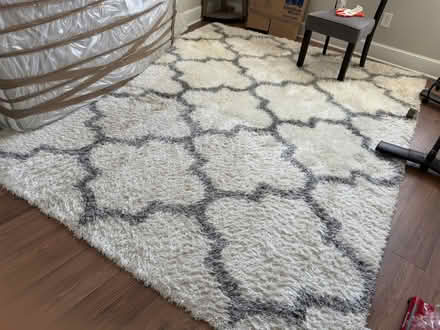 Photo of free Rug 8x10 (Near Lincoln Park) #1