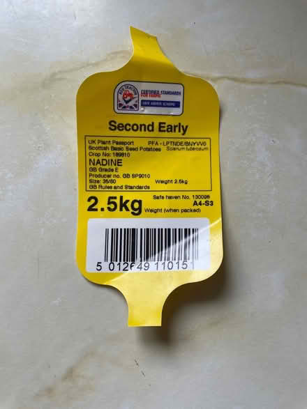 Photo of free 39 second early seed potatoes (Trowbridge BA14) #2