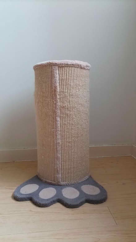 Photo of free Cat scratching posts (Cardiff City Centre, CF10) #2