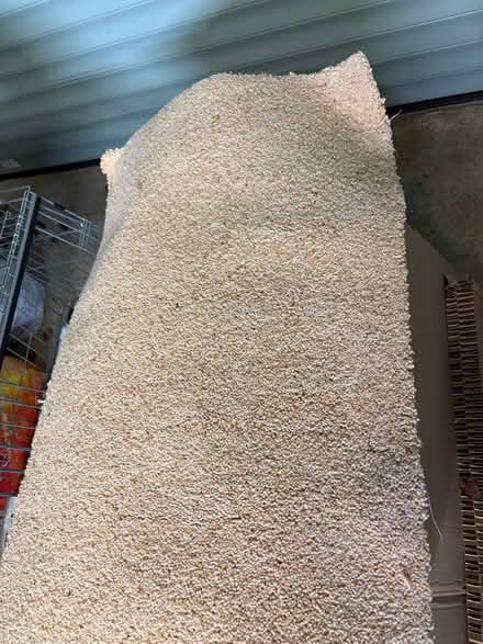 Photo of free unused carpet offcut (Bussage GL6) #2
