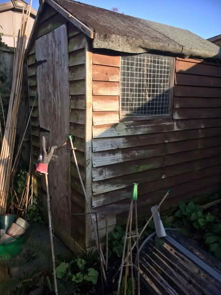 Photo of free Shed 6' x 4' (Exhall CV7) #1