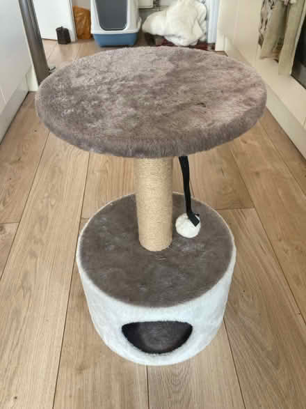 Photo of free Cat scratcher / hideaway (Cotham BS6) #2