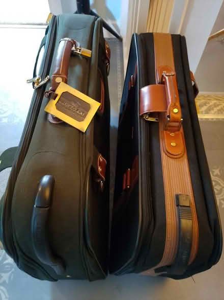 Photo of free Two Antler Suitcases (Matlock DE4) #2