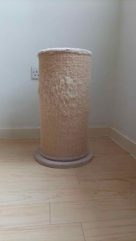 Photo of free Cat scratching posts (Cardiff City Centre, CF10) #1