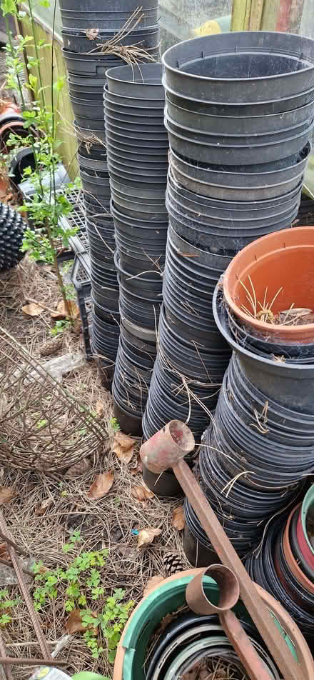 Photo of free Plant pots (Horsforth LS18) #3