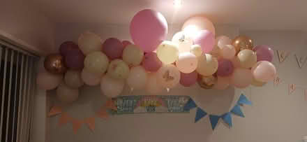 Photo of free Balloon arch (NG7) #1