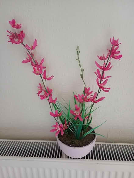 Photo of free Fake plant (Cowley Oxford) #1