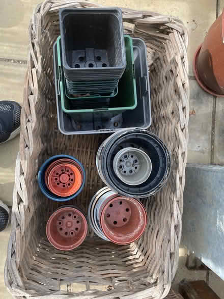 Photo of free Over 70 Plastic Plant Pots - Various Sizes (North Ascot SL5) #1