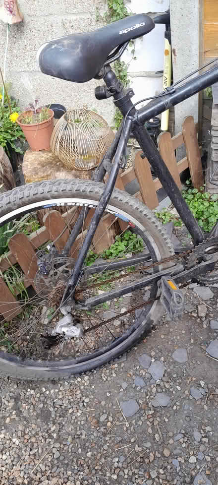 Photo of free Adult bike needs tlc (Clacton on sea) #1