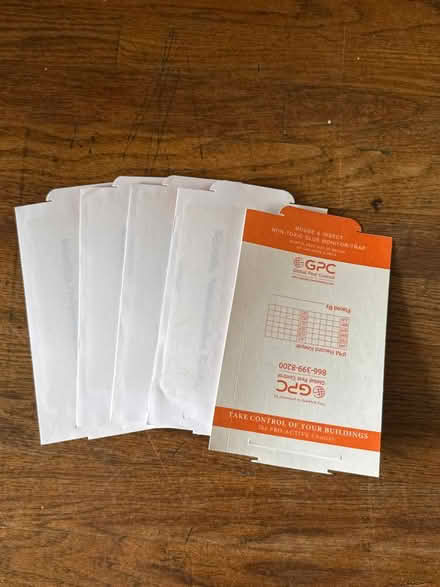 Photo of free 5 nontoxic mouse glue traps (Clason Point Bronx NY) #1