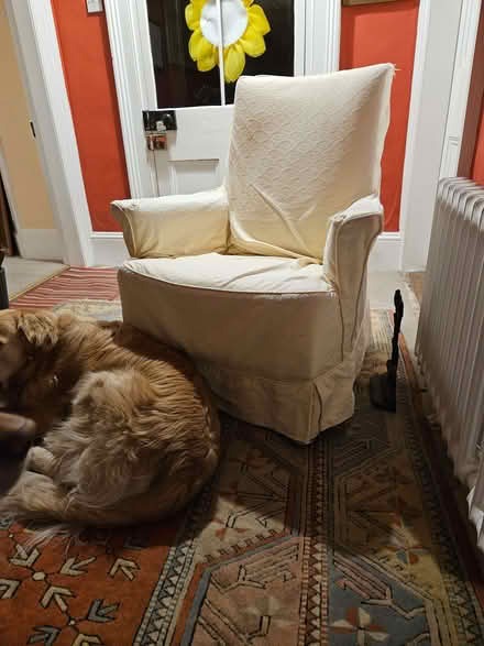 Photo of free Comfortable small armchair (Link Common WR14) #1