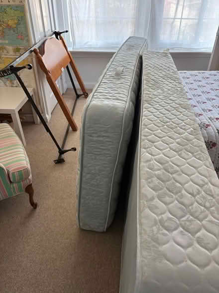 Photo of free Twin Bed with headboard (Bethesda/Rockville) #1