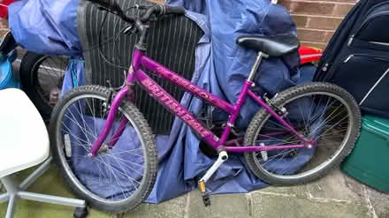 Photo of free Purple womens mountain bike (Ilkeston DE7 DE7) #1