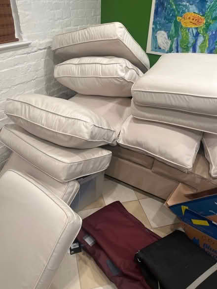 Photo of free Outdoor furniture cushions (Cleveland Park) #2