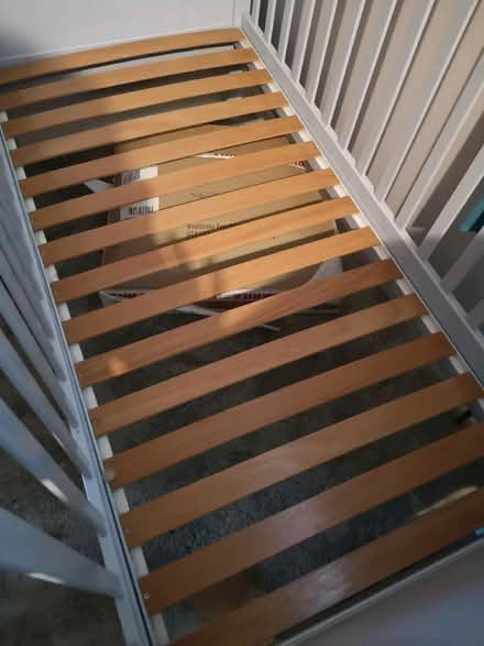 Photo of free Child's cot (Southwick BN42) #2