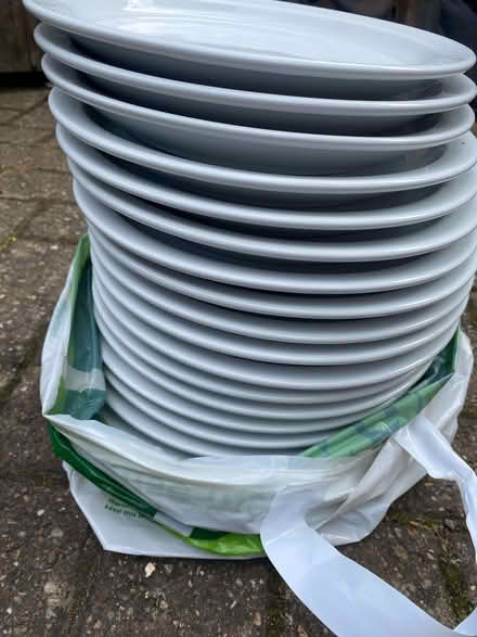 Photo of free 9 White dinner plates (Cogges OX28) #1