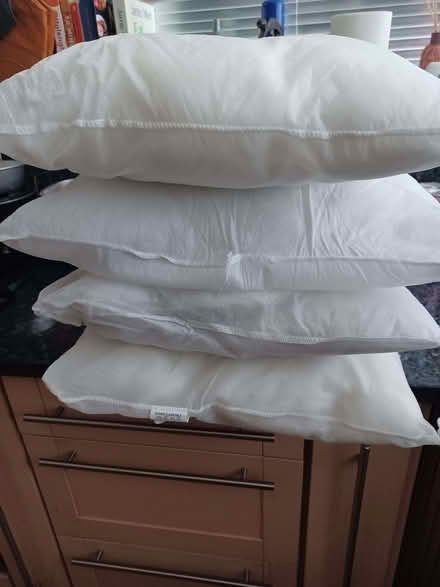 Photo of free 4 cushion inserts (Kenilworth CV8) #2