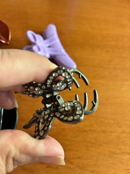 Photo of free Hair Clips (Southeast Sunnyvale) #4