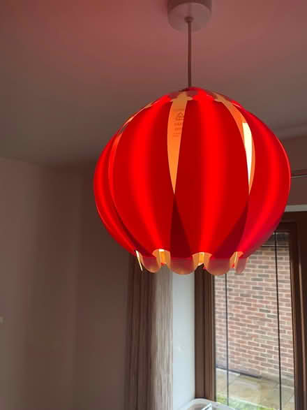 Photo of free Rare ‘Allium’ lampshades (Bearsted) #2