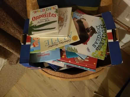 Photo of free Box of kids books (Norton Lees S8) #1