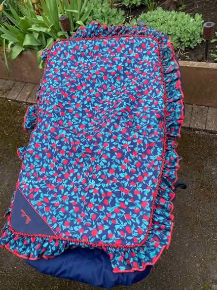 Photo of free Silver Cross carrycot (Ashton-on-Ribble PR2) #2