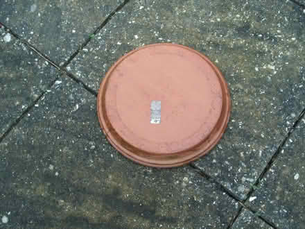 Photo of free Terracotta plant pot base 30cm wide (Portslade by Sea BN3) #2