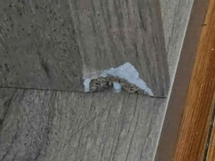 Photo of free Cube Shelf (Medford ma) #4