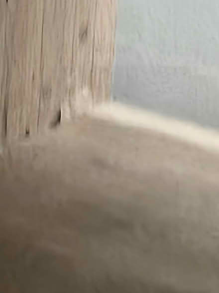 Photo of free Cube Shelf (Medford ma) #3