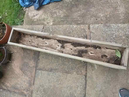 Photo of free Planter (Rivermead, Exmouth) #3