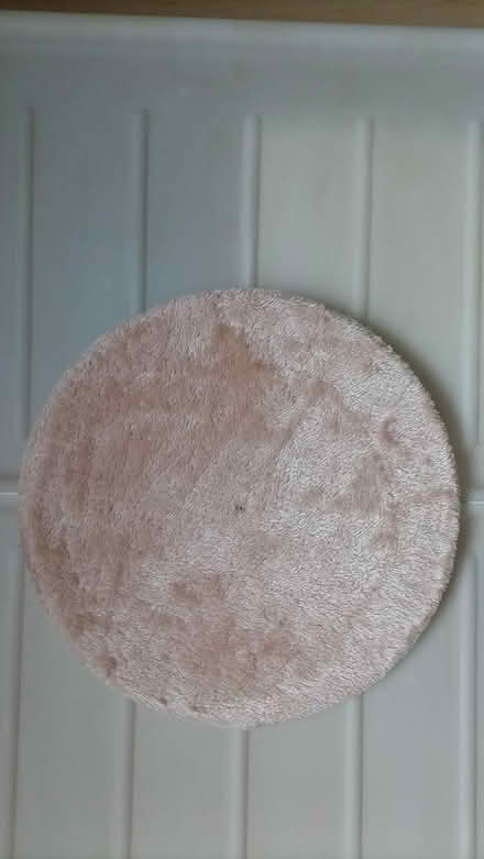 Photo of free Cat scratching posts (Cardiff City Centre, CF10) #3