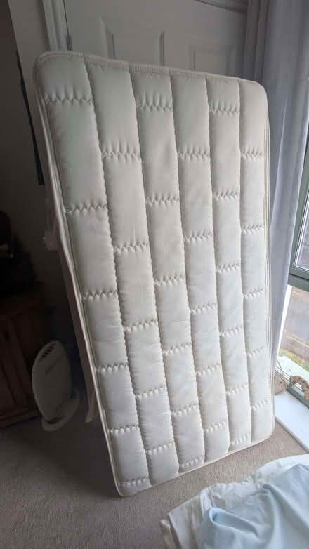 Photo of free Single mattress (Welshpool SY21) #1