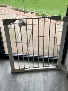 Photo of free stair gate (Bebington) #1