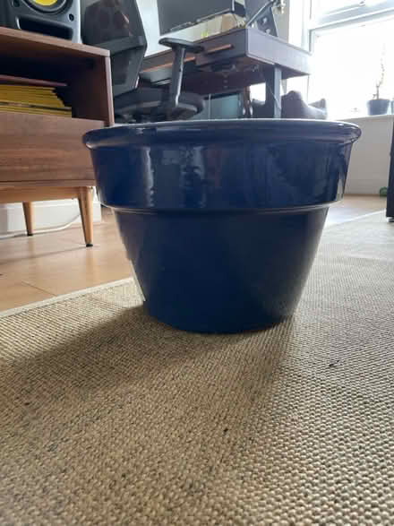 Photo of free Large blue plant pot (Forest Hill SE23) #2
