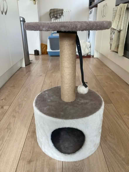 Photo of free Cat scratcher / hideaway (Cotham BS6) #1