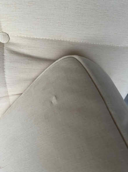 Photo of free Designer Sofa Bed (Newton) #4