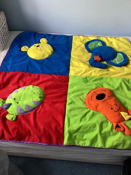 Photo of free Baby’s Playmat (Harold Wood RM3) #1