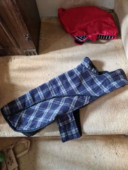 Photo of free Dog coats (Stoke Newington N16) #2