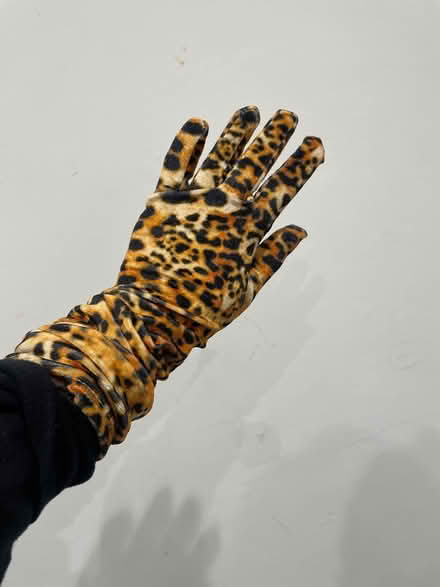 Photo of free Tiger hands (G429QG Southside) #2