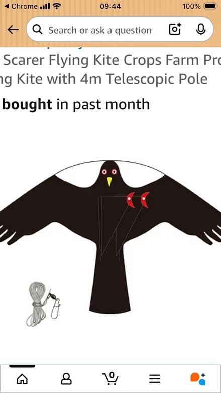 Photo of free Bird scarer kite (Heworth, York, YO31 9 JX) #1