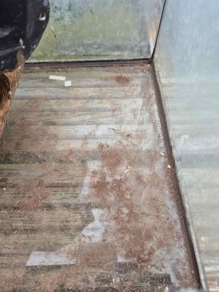 Photo of free Small gecko glass vivarium (Medway/kent) #4