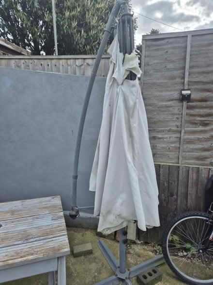 Photo of free Banana umbrella outdoor (Medway/kent) #3