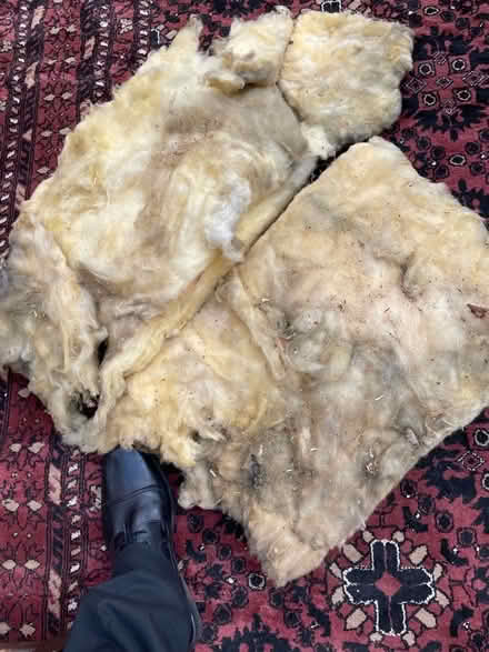 Photo of free Loft insulation (Woking GU22) #1