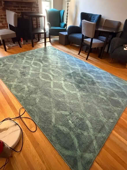 Photo of free Rug (Near Lincoln Park) #1