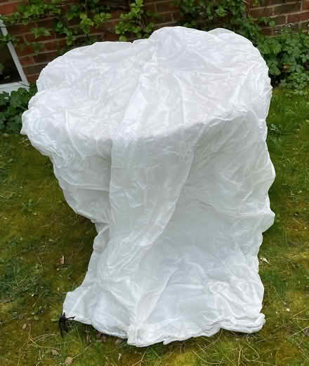 Photo of free Garden fleeces for small trees/bushes (Buggs Bottom RG4) #1