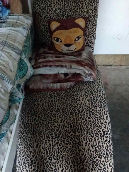 Photo of free Lounge chair (South side) #1