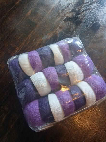 Photo of free String light covers (Logan circle) #1