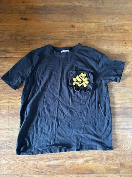 Photo of free size medium (Clason Point Bronx NY) #1