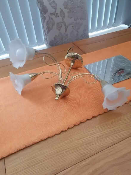 Photo of free Ceiling lights (Elstow MK42) #2